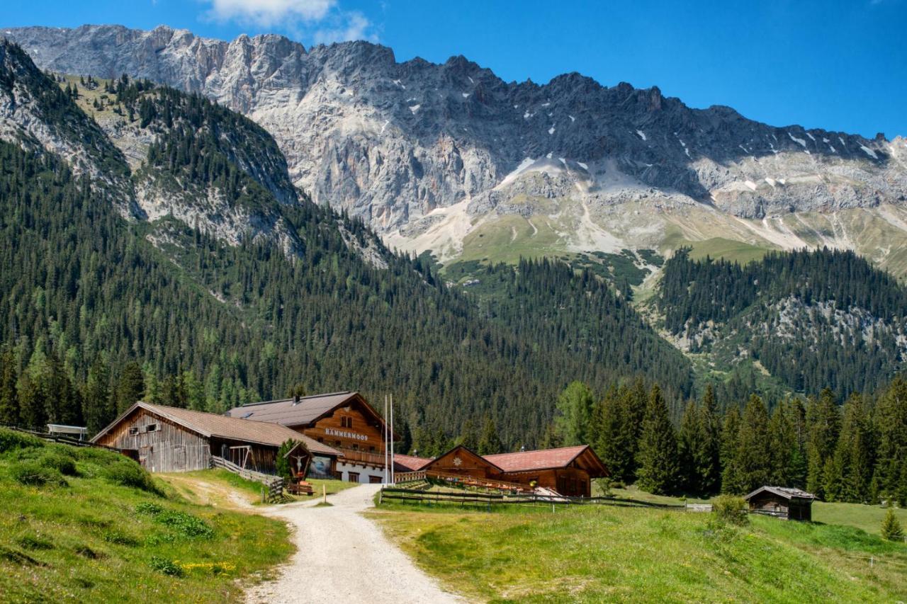 Haemmermoosalm Лойташ Экстерьер фото